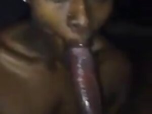- kinky ultimi film  ...